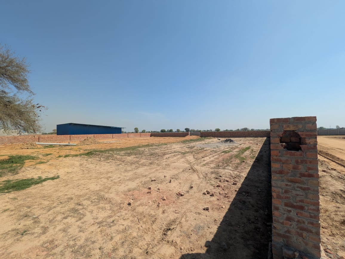 project-img